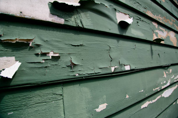 Best Commercial Junk Removal  in Rolling Fork, MS